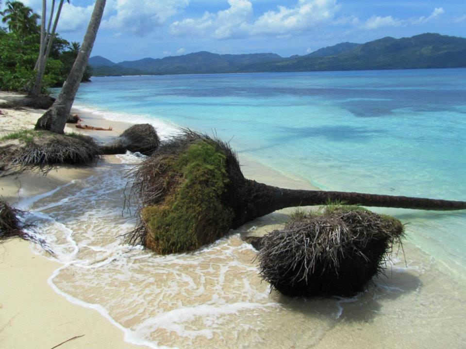 Gecko Azul Daire Las Galeras Dış mekan fotoğraf