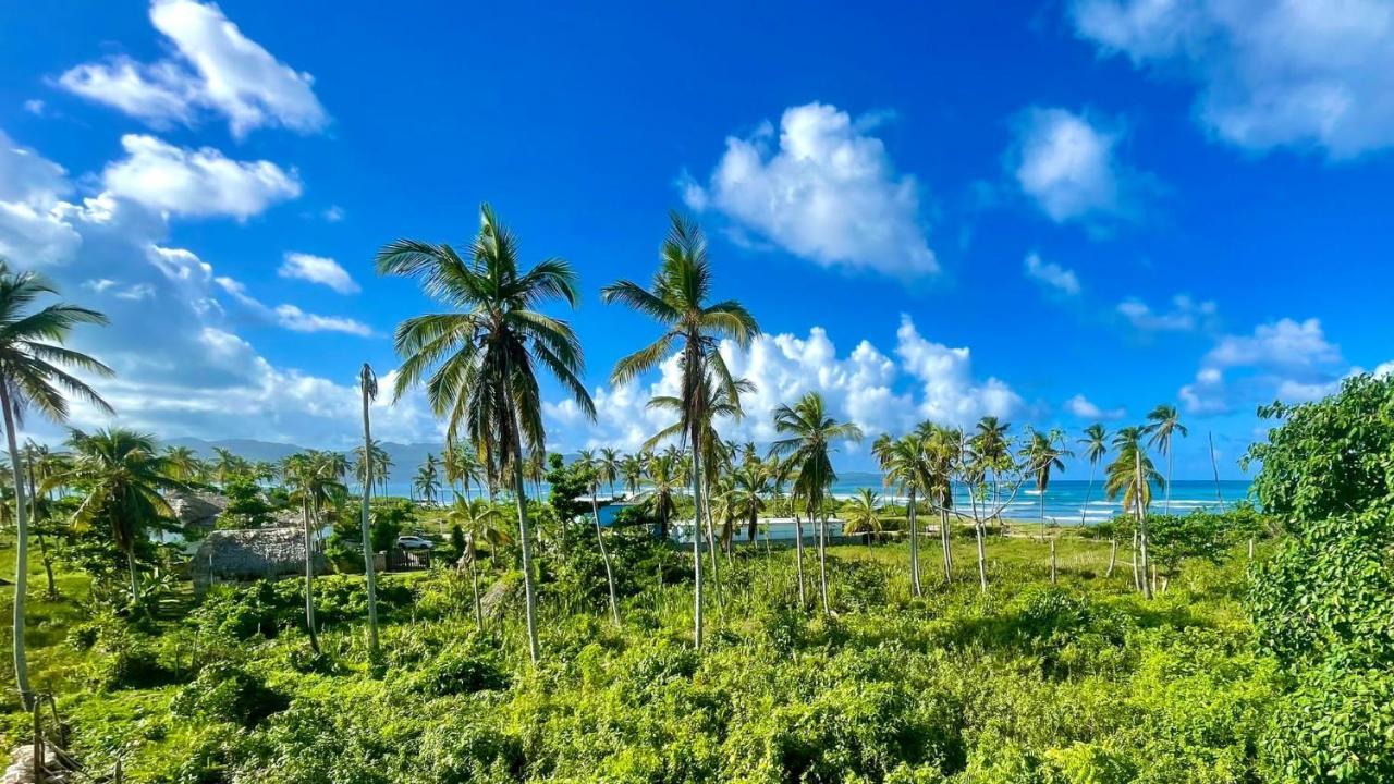 Gecko Azul Daire Las Galeras Dış mekan fotoğraf